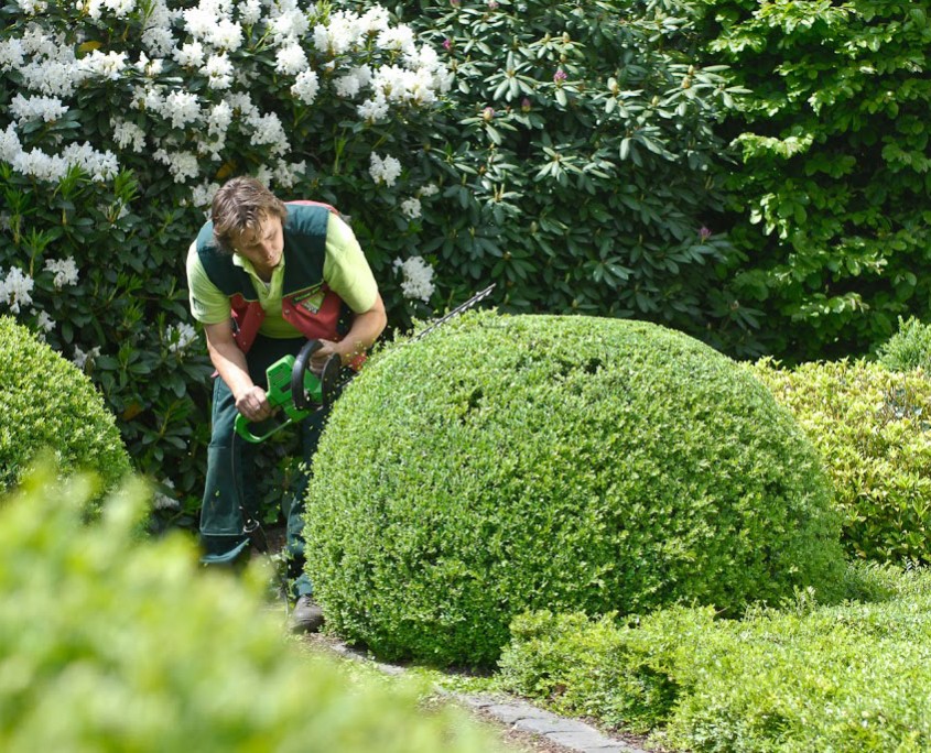 gartenpflege