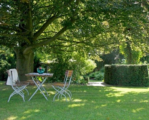 Baum Rasen Gartenmöbel